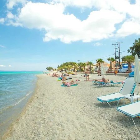 Next To The Beach Daire